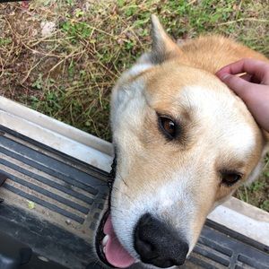 Meet your Posher, Shae